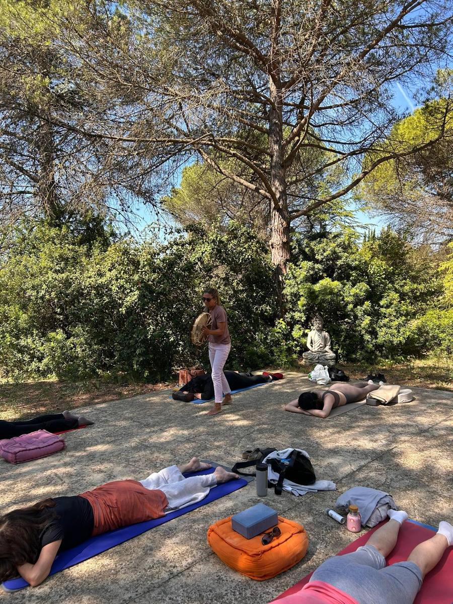 Outdoor meditation session under pine trees