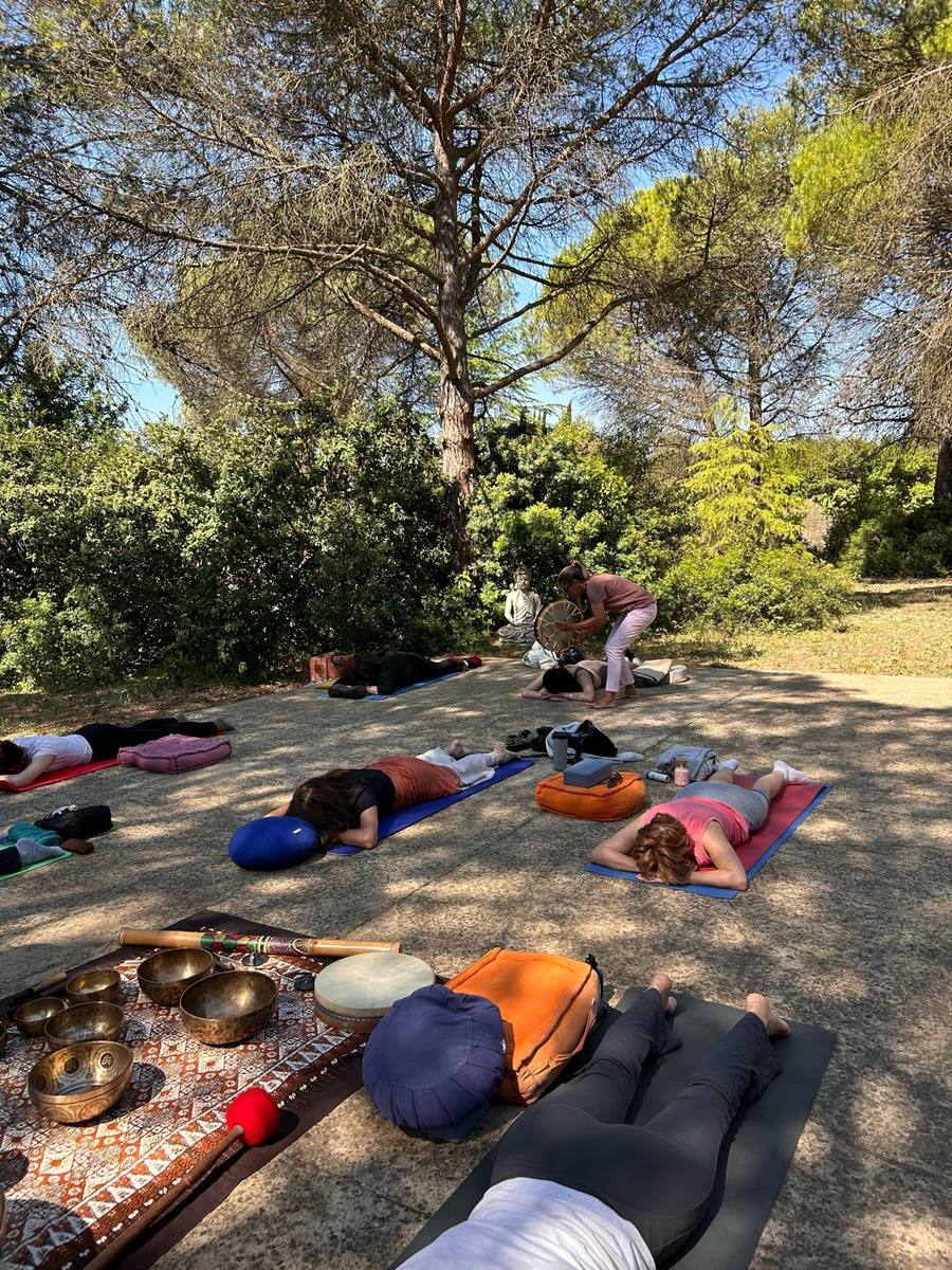 Outdoor group session in forest with relaxed participants