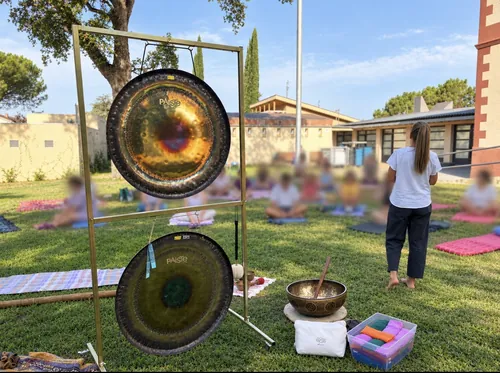 Sessió de bany de so a l'aire lliure amb dos gongs planetaris i un grup assegut a la gespa
